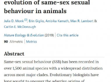 研究报告提出新观点：同性性行为在生命起源之初就存在，最初的生物都是既有同性也有异性性行为