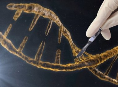 CRISPR基因编辑技术成功消灭HIV病毒
