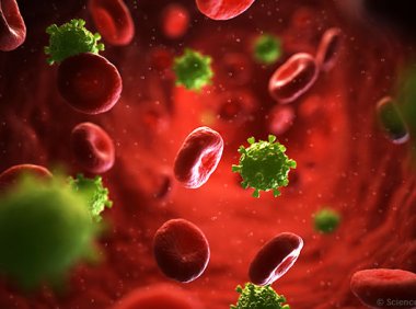 异常的B细胞库选择与HIV中和抗体广度有关