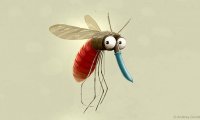 蚊子可以传播艾滋病毒吗？