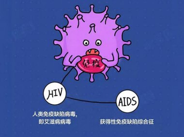 HIV预防与传播途径