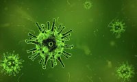 为什么有些病毒感染可以治愈，有些却不行？